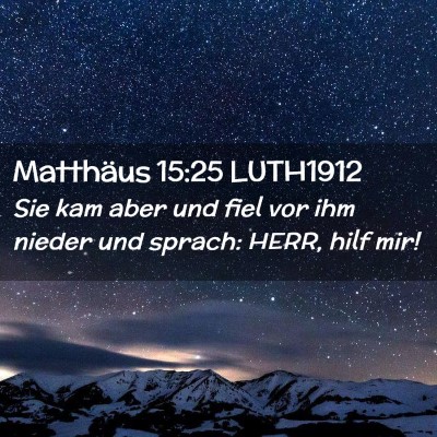 Picture 02 - Matthäus 15:25 LUTH1912 - Sie kam aber und fiel vor ihm nieder und sprach: - Bible Verse Picture
