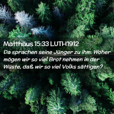 Picture 02 - Matthäus 15:33 LUTH1912 - Da sprachen seine Jünger zu ihm: Woher mögen - Bible Verse Picture
