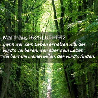 Picture 02 - Matthäus 16:25 LUTH1912 - Denn wer sein Leben erhalten will, der wird's - Bible Verse Picture