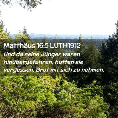 Picture 02 - Matthäus 16:5 LUTH1912 - Und da seine Jünger waren hinübergefahren, - Bible Verse Picture