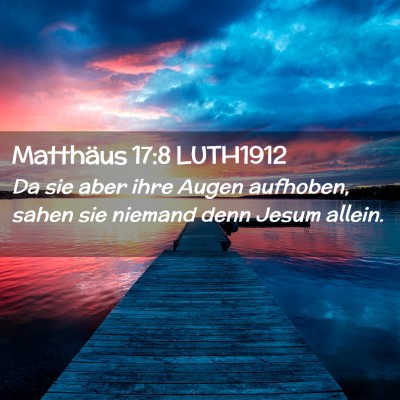 Picture 02 - Matthäus 17:8 LUTH1912 - Da sie aber ihre Augen aufhoben, sahen sie - Bible Verse Picture