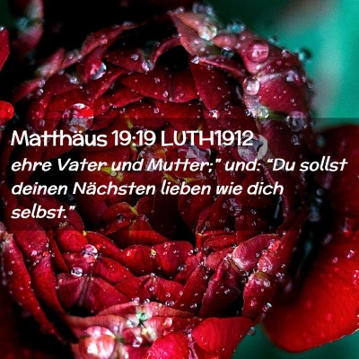 Picture 02 - Matthäus 19:19 LUTH1912 - ehre Vater und Mutter;” und: “Du sollst - Bible Verse Picture