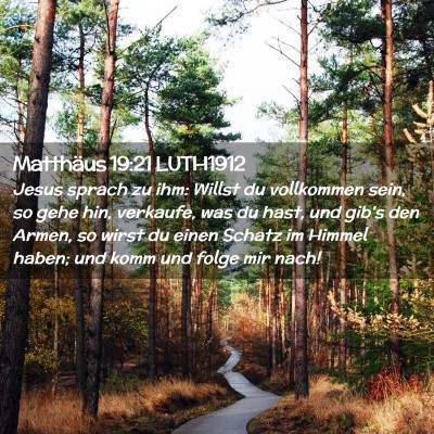 Picture 02 - Matthäus 19:21 LUTH1912 - Jesus sprach zu ihm: Willst du vollkommen sein, - Bible Verse Picture