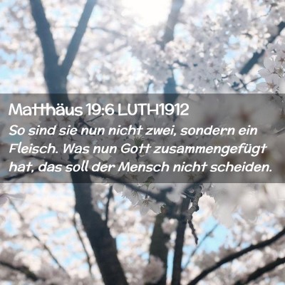 Picture 02 - Matthäus 19:6 LUTH1912 - So sind sie nun nicht zwei, sondern ein Fleisch. - Bible Verse Picture