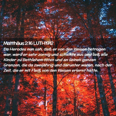Picture 02 - Matthäus 2:16 LUTH1912 - Da Herodes nun sah, daß er von den Weisen - Bible Verse Picture