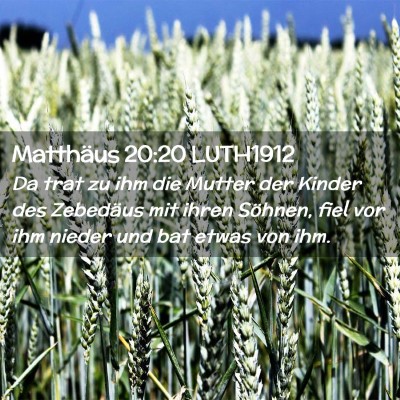 Picture 02 - Matthäus 20:20 LUTH1912 - Da trat zu ihm die Mutter der Kinder des - Bible Verse Picture
