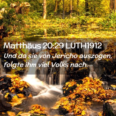 Picture 02 - Matthäus 20:29 LUTH1912 - Und da sie von Jericho auszogen, folgte ihm viel - Bible Verse Picture