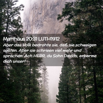 Picture 02 - Matthäus 20:31 LUTH1912 - Aber das Volk bedrohte sie, daß sie schweigen - Bible Verse Picture