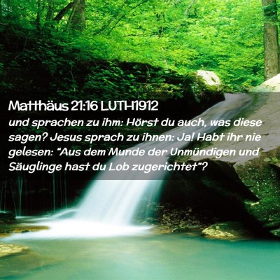 Picture 02 - Matthäus 21:16 LUTH1912 - und sprachen zu ihm: Hörst du auch, was diese - Bible Verse Picture