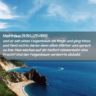 Picture 02 - Matthäus 21:19 LUTH1912 - und er sah einen Feigenbaum am Wege und ging - Bible Verse Picture