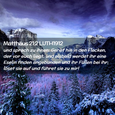 Picture 02 - Matthäus 21:2 LUTH1912 - und sprach zu ihnen: Gehet hin in den Flecken, - Bible Verse Picture