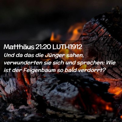 Picture 02 - Matthäus 21:20 LUTH1912 - Und da das die Jünger sahen, verwunderten sie - Bible Verse Picture