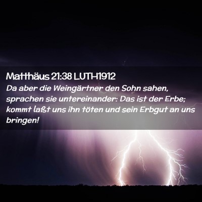 Picture 02 - Matthäus 21:38 LUTH1912 - Da aber die Weingärtner den Sohn sahen, sprachen - Bible Verse Picture