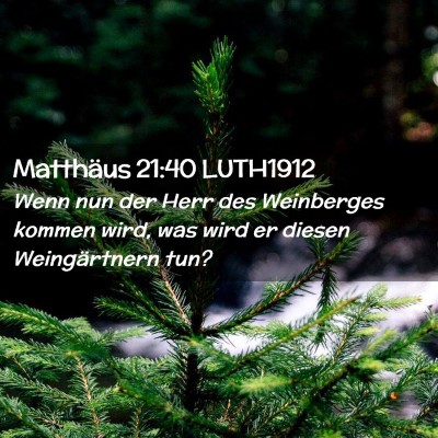 Picture 02 - Matthäus 21:40 LUTH1912 - Wenn nun der Herr des Weinberges kommen wird, was - Bible Verse Picture