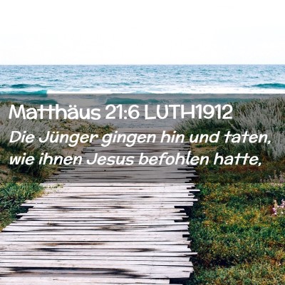Picture 02 - Matthäus 21:6 LUTH1912 - Die Jünger gingen hin und taten, wie ihnen Jesus - Bible Verse Picture