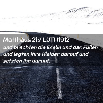 Picture 02 - Matthäus 21:7 LUTH1912 - und brachten die Eselin und das Füllen und - Bible Verse Picture