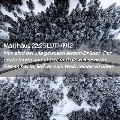 Picture 02 - Matthäus 22:25 LUTH1912 - Nun sind bei uns gewesen sieben Brüder. Der - Bible Verse Picture