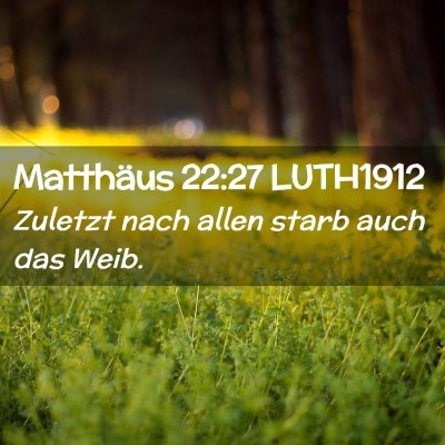Picture 02 - Matthäus 22:27 LUTH1912 - Zuletzt nach allen starb auch das - Bible Verse Picture