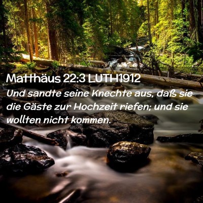 Picture 02 - Matthäus 22:3 LUTH1912 - Und sandte seine Knechte aus, daß sie die Gäste - Bible Verse Picture
