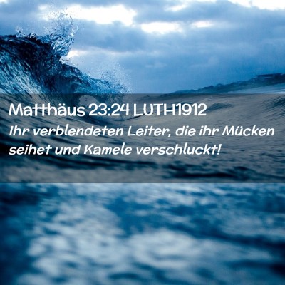 Picture 02 - Matthäus 23:24 LUTH1912 - Ihr verblendeten Leiter, die ihr Mücken seihet - Bible Verse Picture