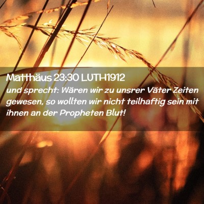 Picture 02 - Matthäus 23:30 LUTH1912 - und sprecht: Wären wir zu unsrer Väter Zeiten - Bible Verse Picture