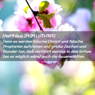 Picture 02 - Matthäus 24:24 LUTH1912 - Denn es werden falsche Christi und falsche - Bible Verse Picture