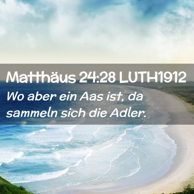 Picture 02 - Matthäus 24:28 LUTH1912 - Wo aber ein Aas ist, da sammeln sich die - Bible Verse Picture