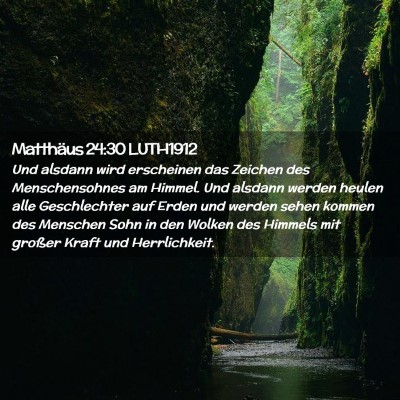 Picture 02 - Matthäus 24:30 LUTH1912 - Und alsdann wird erscheinen das Zeichen des - Bible Verse Picture