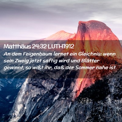 Picture 02 - Matthäus 24:32 LUTH1912 - An dem Feigenbaum lernet ein Gleichnis: wenn sein - Bible Verse Picture