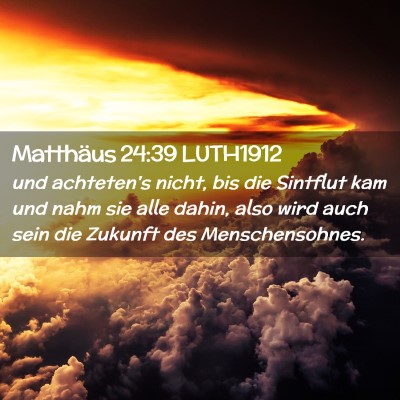 Picture 02 - Matthäus 24:39 LUTH1912 - und achteten's nicht, bis die Sintflut kam und - Bible Verse Picture