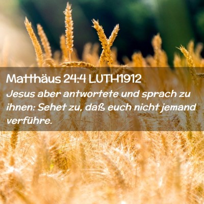 Picture 02 - Matthäus 24:4 LUTH1912 - Jesus aber antwortete und sprach zu ihnen: Sehet - Bible Verse Picture