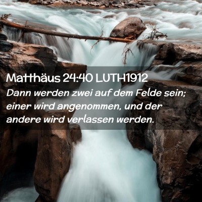 Picture 02 - Matthäus 24:40 LUTH1912 - Dann werden zwei auf dem Felde sein; einer wird - Bible Verse Picture