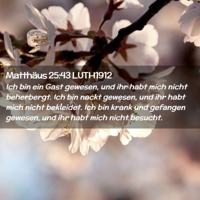 Picture 02 - Matthäus 25:43 LUTH1912 - Ich bin ein Gast gewesen, und ihr habt mich nicht - Bible Verse Picture