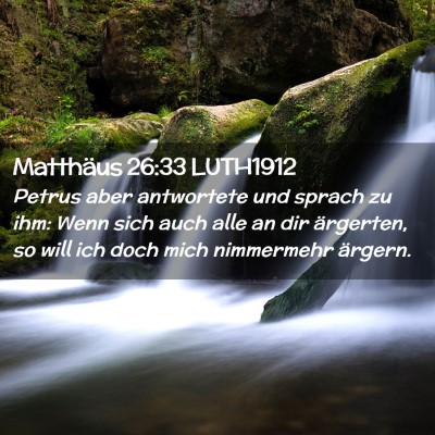 Picture 02 - Matthäus 26:33 LUTH1912 - Petrus aber antwortete und sprach zu ihm: Wenn - Bible Verse Picture