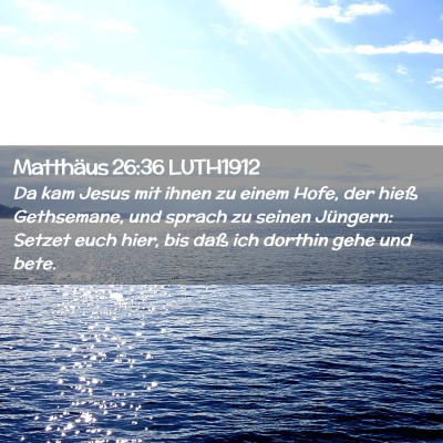 Picture 02 - Matthäus 26:36 LUTH1912 - Da kam Jesus mit ihnen zu einem Hofe, der hieß - Bible Verse Picture