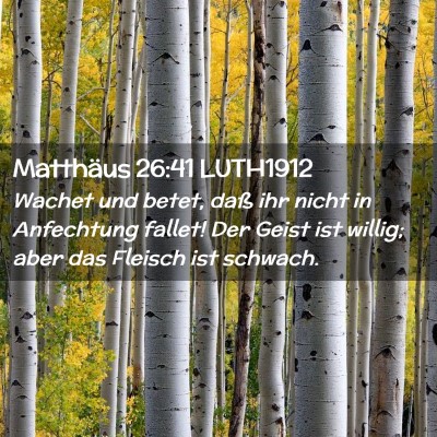 Picture 02 - Matthäus 26:41 LUTH1912 - Wachet und betet, daß ihr nicht in Anfechtung - Bible Verse Picture