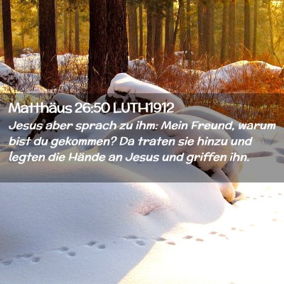 Picture 02 - Matthäus 26:50 LUTH1912 - Jesus aber sprach zu ihm: Mein Freund, warum bist - Bible Verse Picture