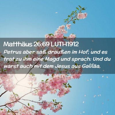 Picture 02 - Matthäus 26:69 LUTH1912 - Petrus aber saß draußen im Hof; und es trat zu - Bible Verse Picture