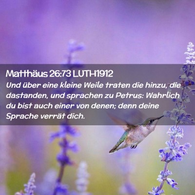 Picture 02 - Matthäus 26:73 LUTH1912 - Und über eine kleine Weile traten die hinzu, die - Bible Verse Picture
