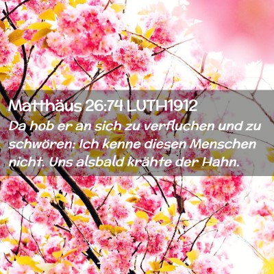 Picture 02 - Matthäus 26:74 LUTH1912 - Da hob er an sich zu verfluchen und zu schwören: - Bible Verse Picture
