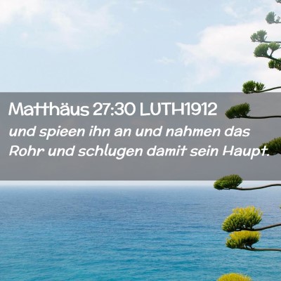 Picture 02 - Matthäus 27:30 LUTH1912 - und spieen ihn an und nahmen das Rohr und - Bible Verse Picture