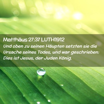 Picture 02 - Matthäus 27:37 LUTH1912 - Und oben zu seinen Häupten setzten sie die - Bible Verse Picture