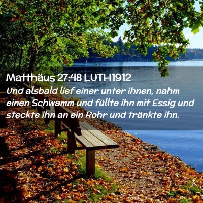 Picture 02 - Matthäus 27:48 LUTH1912 - Und alsbald lief einer unter ihnen, nahm einen - Bible Verse Picture