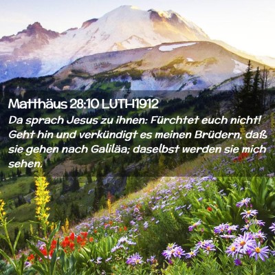 Picture 02 - Matthäus 28:10 LUTH1912 - Da sprach Jesus zu ihnen: Fürchtet euch nicht! - Bible Verse Picture