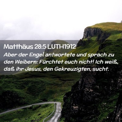 Picture 02 - Matthäus 28:5 LUTH1912 - Aber der Engel antwortete und sprach zu den - Bible Verse Picture