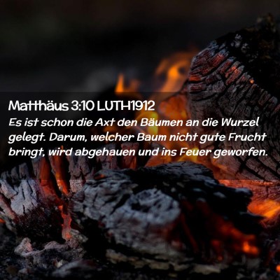 Picture 02 - Matthäus 3:10 LUTH1912 - Es ist schon die Axt den Bäumen an die Wurzel - Bible Verse Picture