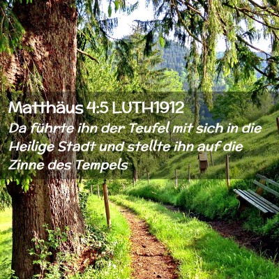 Picture 02 - Matthäus 4:5 LUTH1912 - Da führte ihn der Teufel mit sich in die Heilige - Bible Verse Picture