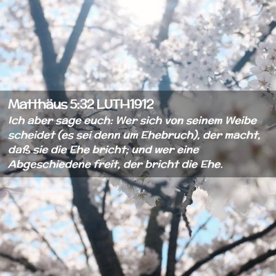 Picture 02 - Matthäus 5:32 LUTH1912 - Ich aber sage euch: Wer sich von seinem Weibe - Bible Verse Picture