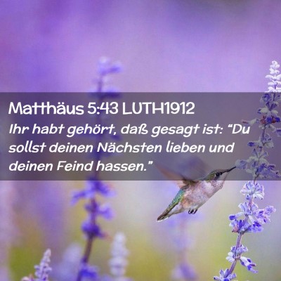 Picture 02 - Matthäus 5:43 LUTH1912 - Ihr habt gehört, daß gesagt ist: “Du sollst - Bible Verse Picture