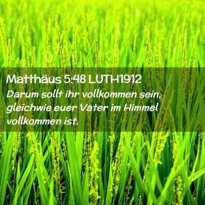 Picture 02 - Matthäus 5:48 LUTH1912 - Darum sollt ihr vollkommen sein, gleichwie euer - Bible Verse Picture